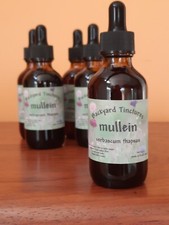 Mullein Leaf Tincture "Verbascum Thapsus" 2 oz Bottle Made In R.I. Free Shipping