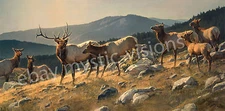Nancy Glazier HIGH COUNTRY Signed & Numbered w/coa Retail $185 Elk Art Print