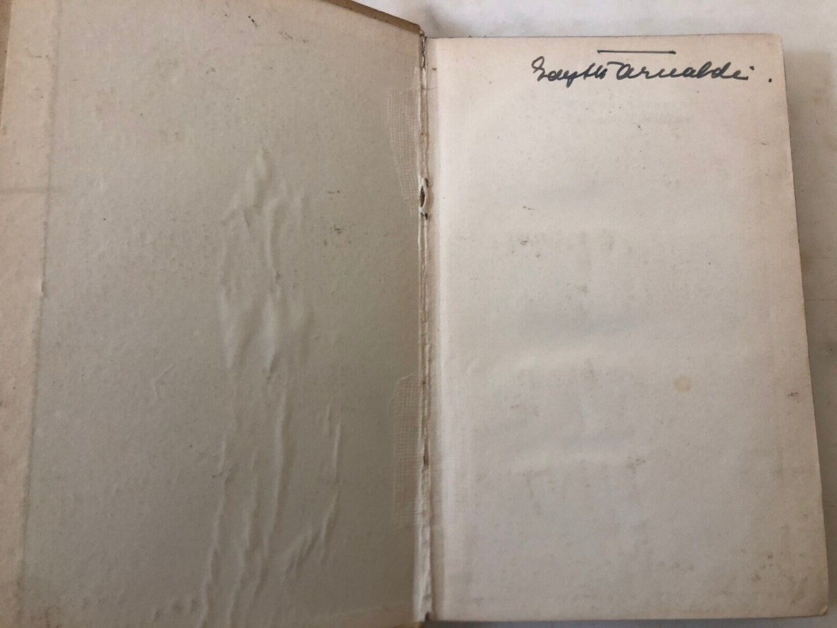 Raro Libro Der Weisse Dominikaner Gustav Meyrink 1921 Prima edizione