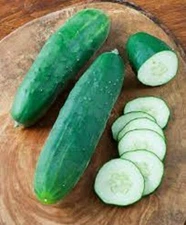 Premium Straight 8 Slicing Cucumber - Fresh Heirloom Seeds - Great in Salads