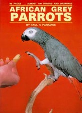African Grey Parrots,Paul R. Paradise