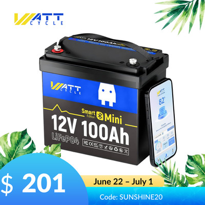 12V 100AH LiFePO4 Lithium Mini Size Battery Low-Temp with BMS Bluetooth Off-Grid