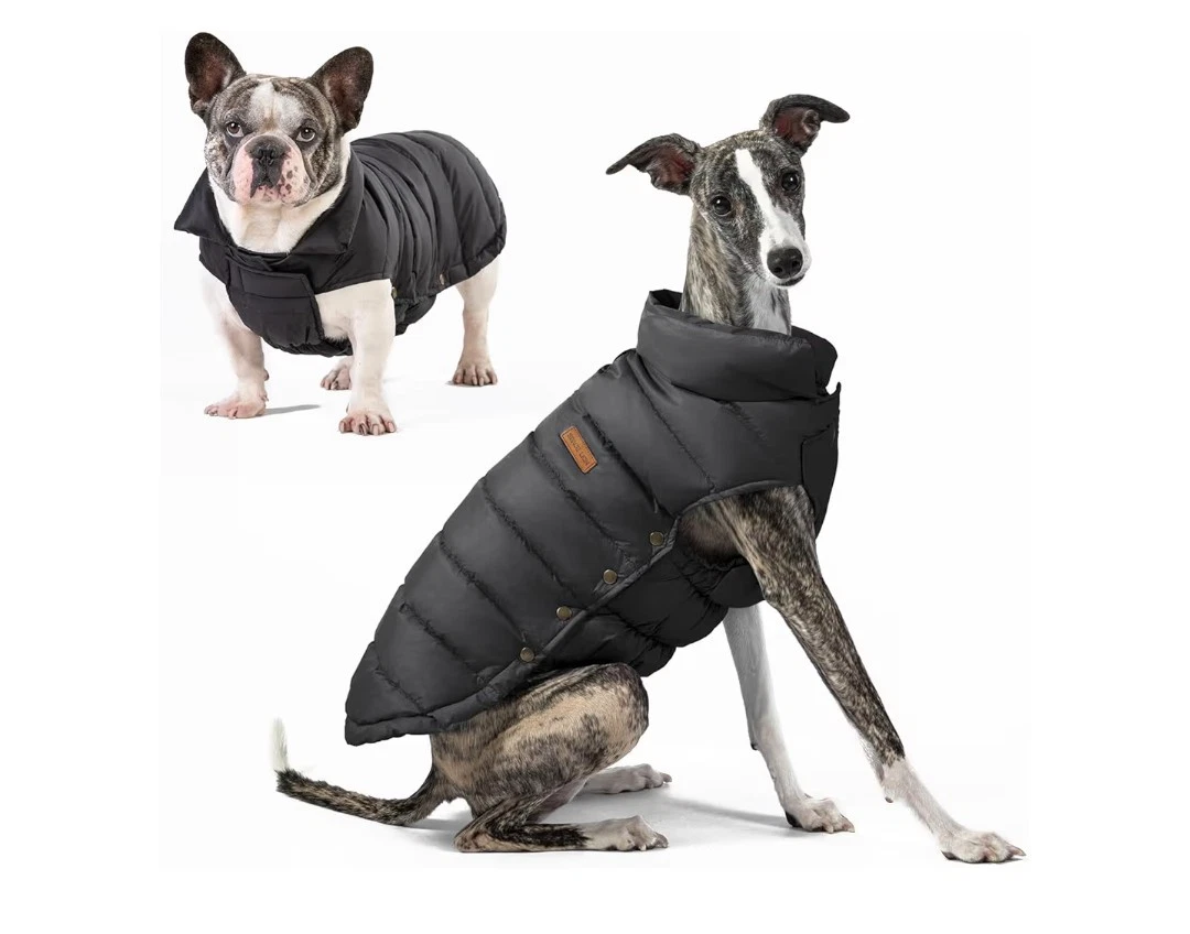 Dog Down Jacket for sale | eBay