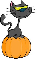 30 Custom Cartoon Cat on a Pumpkin Personalized Address Labels