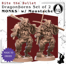 Dragonborn Set of 2 Monks w/ Moustache DnD Miniature 3DPrinted Fantasy Model D D