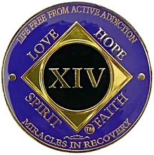 NA 14 Year Golden Color Plated Medallion, Recovery Coin, NA Token, Narcotics An