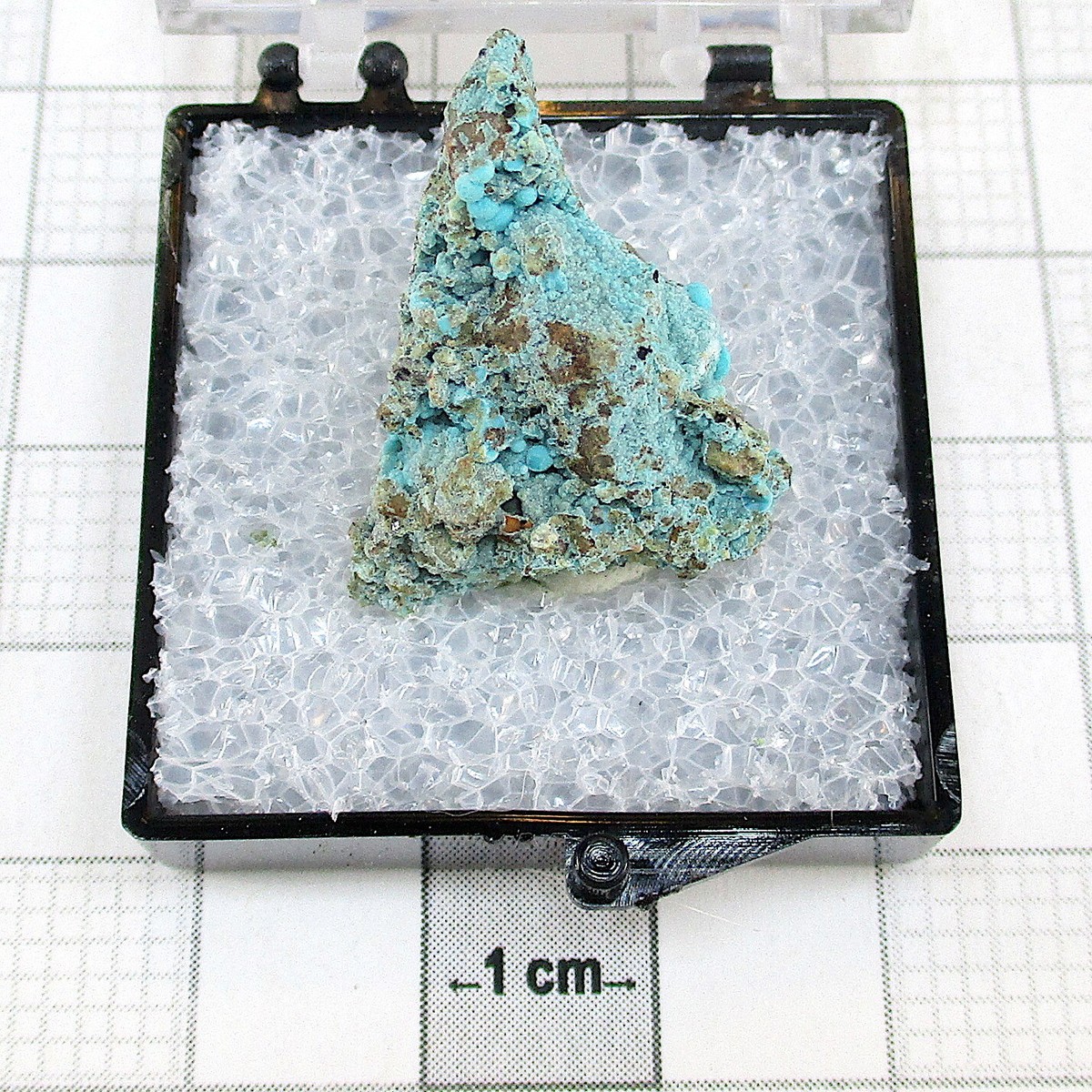 モンゴリア 08970 TN Rosasite Contact Mining District Elko County Nevada USA
