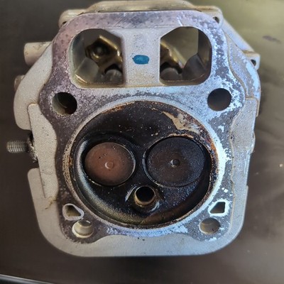 OEM Genuine Kohler Engine #1 Cylinder Head Kit 24 318 155-s