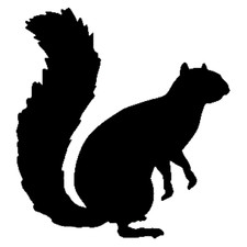 Squirrel Hunting Decal STSA10 Wildlife Animal Window Graphic for Trucks  More