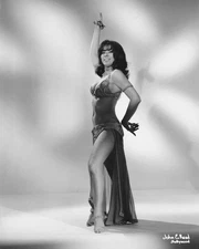 Vintage Photo 8.5x11   29251 Lovely Burlesque Stripper Louisa Rosell