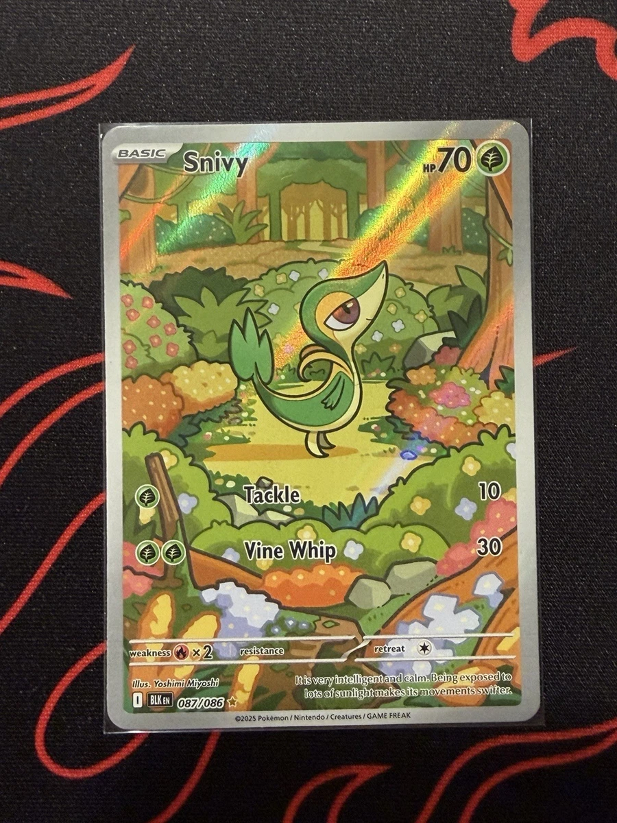 ポケモンカードゲーム 2025 POKEMON SV11B SNIVY ART RARE PSA 10 2025 Pokemon Japanese SV11B Black Bolt #087 Snivy Art Rare PSA 10