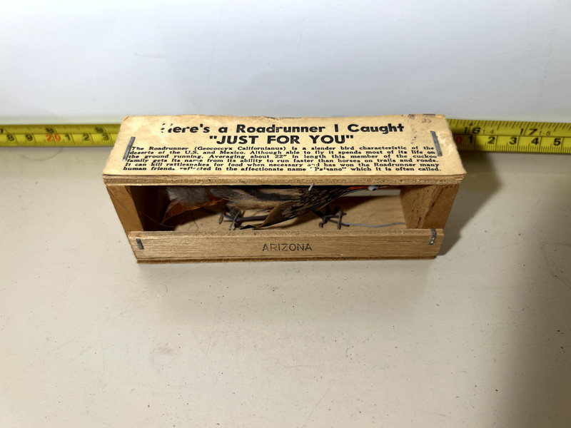 Here's a Roadrunner I Caught Just For You - Vintage Gift - Grand Canyon