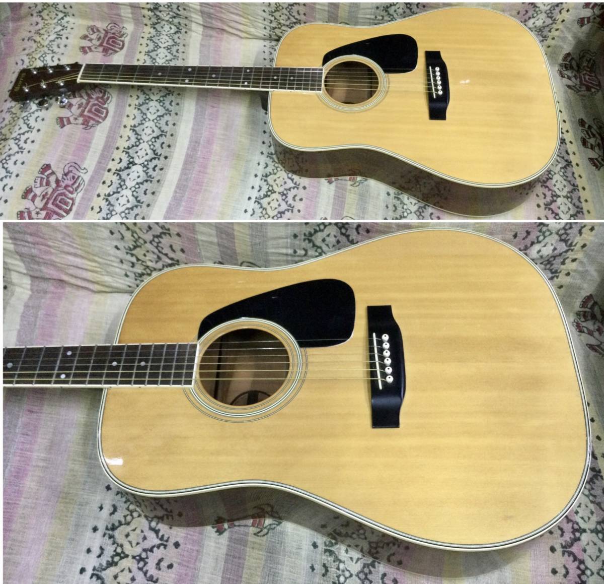 Acoustic Guitar Morris MD-505 Dreadnought Natural Spruce Top Acoustic Guitar Morris MD-505 Dreadnought Natural Spruce Top