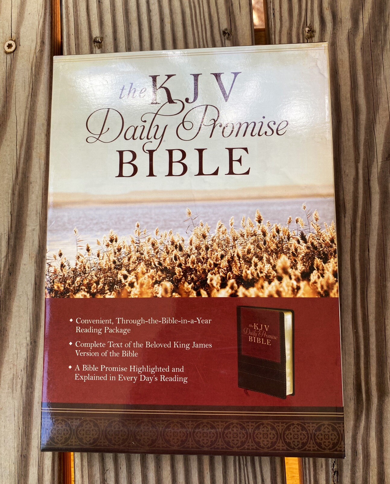 The KJV Daily Promise Bible King James Version Bible In A Year ...