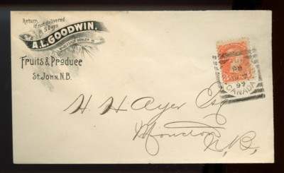 Al Goodwin Collection 🍁AL Goodwin FRuit & Produce St. JOHN NB Squared Circle 1897 cover ...