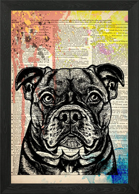 American Bully Hund Kunst Gerahmtes Wandbild Poster Leinwanddruck Bild