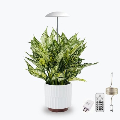 LED Grow Lights for Indoor Plants, Smart USB Small Full Spectrum Plant Lights...