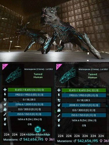 Ark Survival Ascended PVE Managarmr 1654% Melee Color Clone Pair - Picture 6 of 7