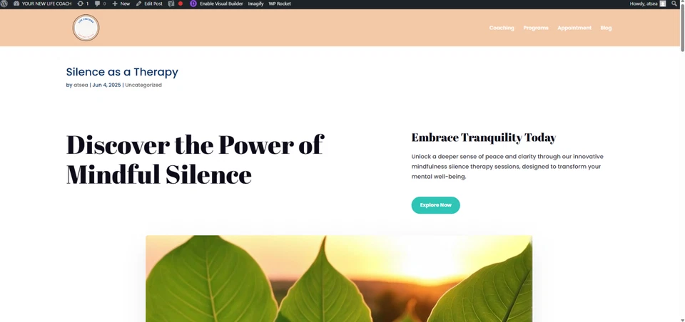 WordPress DIVI Elegant Themes Unlimited  AI Website delivered as wpress file - Image 3 of 4