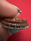 Grampa Graff “Cash For Caps”Creamy Top Root Beer Cork Lined Soda Bottle Cap — photo 4