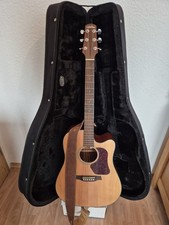 Walden D550CE Elektro Westerngitarre DN  neuwertig mit Schultergurt und Gigbag 