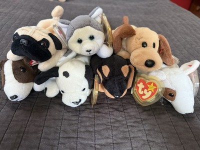 Ty Beanie Babies Dog Lot of 8 Nanook Bones  Doby Bruno Pugsly Butch Dotty x2