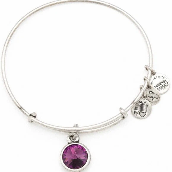 February birthstone alex and ani sale