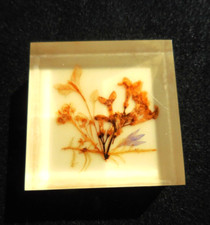 Vintage Plexiglass Paperweight, Dried Flowers theme, small, made in W. Germany