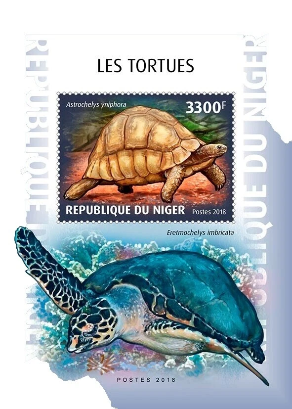 Las tortugas Sellos Nigerinos
