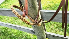 Vintage Rawhide Handmade(?) Bosal & Leather Reins Hackamore