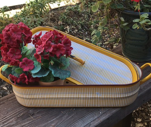 Vintage Farmhouse Enamelware -French Fish Steamer Yellow Striped Steam Rack  Lid