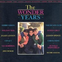Ost - Wonder Years - Cd - G3Z