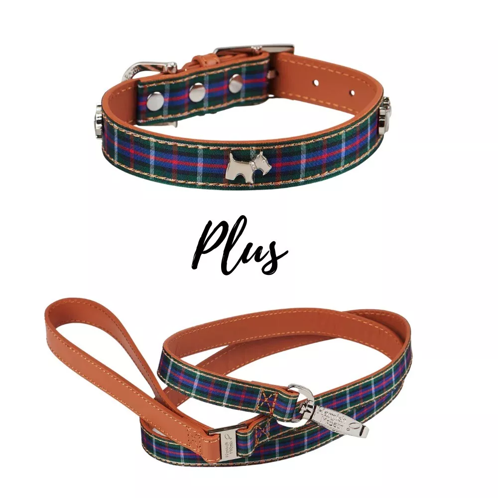 Matching collar and clearance leash