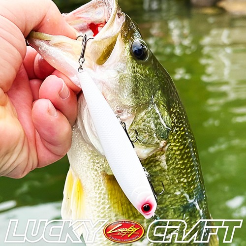 LUCKY CRAFT Gunfish 95 ~3 Gancho~ - 238 Ghost Minnow (1 cantidad) - Imagen 6 de 7