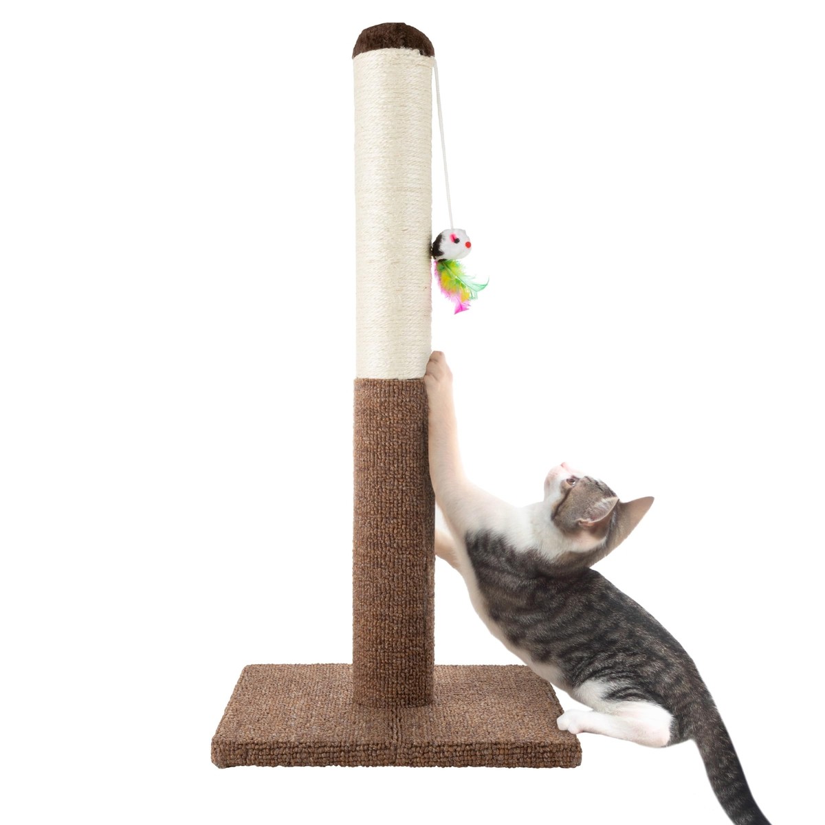 Scratching Post For Cats Amazon Tall Cat Tree Savannah 86 Petrebels