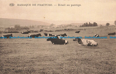 R677796 Baraque de Fraiture. Betail au Parcage. P.I. B. Jacquet Deumer