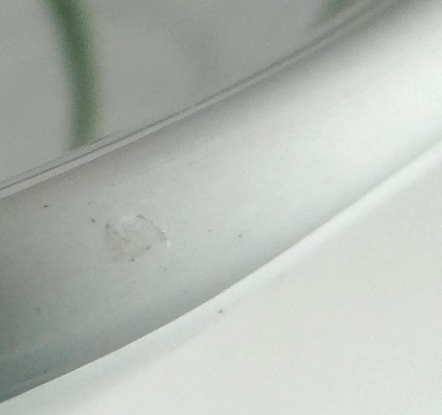 Tazón grande para servir ensalada de pasta diseño de hierbas hecho en Italia 12" Foto 2 de 4