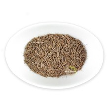 Carvi - 100g Escale Sensorielle viandes fromages vertus digestives anisé et c...