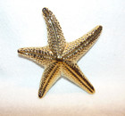 Ceramic Starfish Gold Plated Décor 7" x 8"