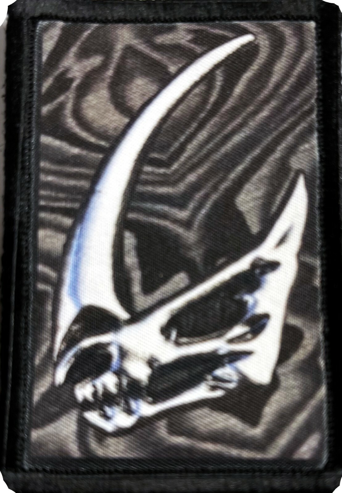 Picture 5 of 13