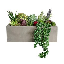 Tropical Artificial Succulent Plants Potted - Faux Succulents Wall Decoration...