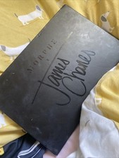 James Charles Pallet With Ring light Shade