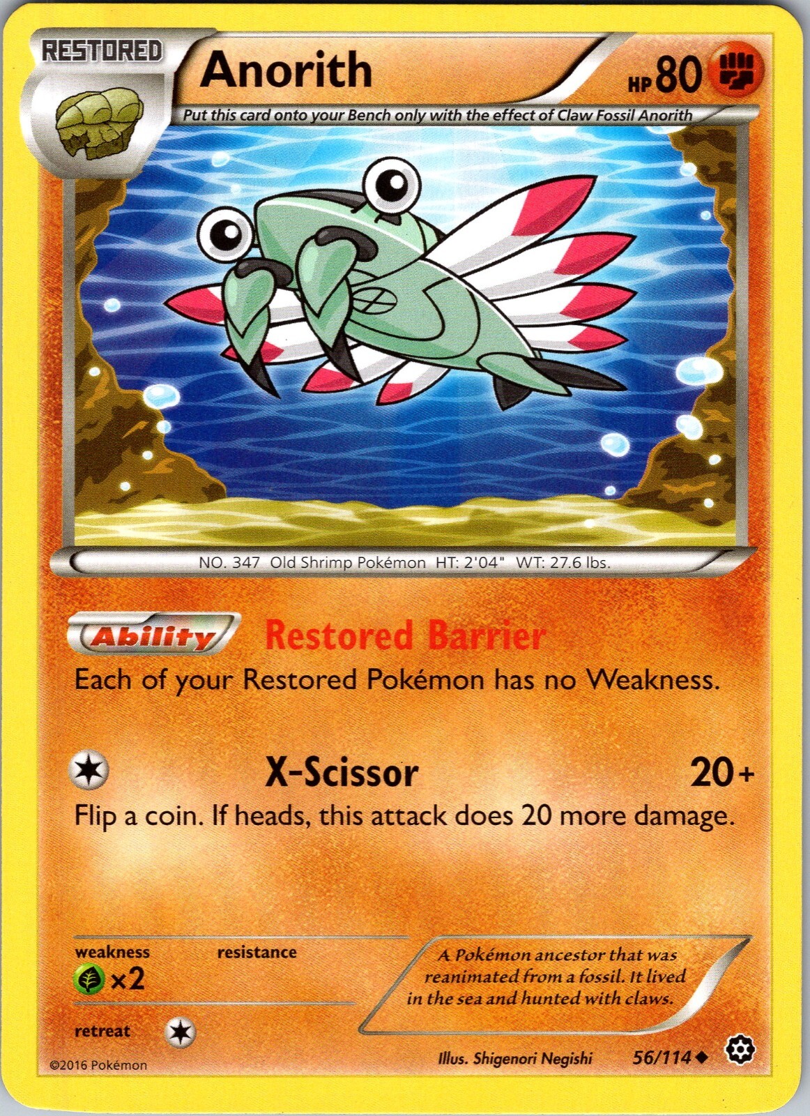 Pokemon TCG Anorith XY Steam Siege 56/114 Regular Uncommon Card NM