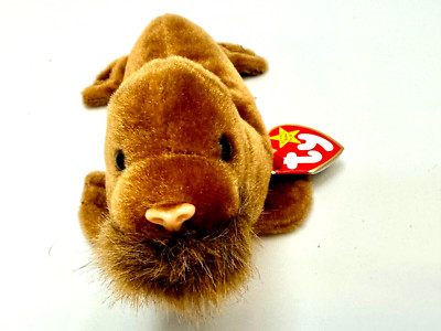 Paul The Walrus Sea Animal Plush Toy Birth Feb 23 1999 Ty Beanie Baby Retired