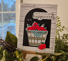 STAMPIN UP CARD KIT -BASKET OF APPLES YOU FILL MY DAY WITH Makes 4 - Set 25.190