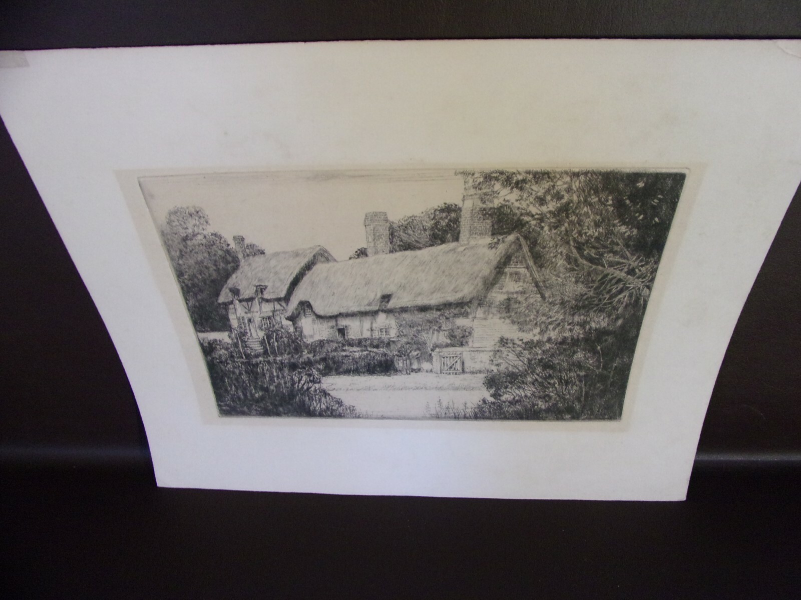 Picture 4 of 5