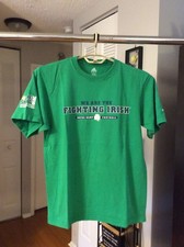 Notre Dame Fighting Irish 2010 