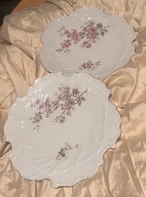 2 Antique Late 1800s Victorian Early Art Nouveau Unmarked Carl Tielsch Plates
