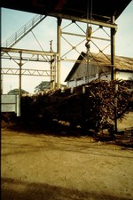 DIA Sugar Cane Loading Field Railway in Indonesia Estate B. Amende M-X8-100