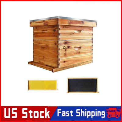 Langstroth 20 Frame Bee Hive Boxes Starter Kit Beehive for Beekeeping Supplies